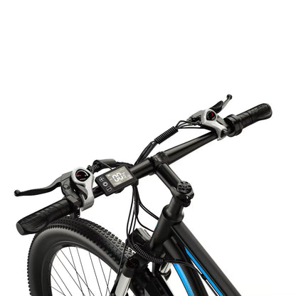 DUOTTS C29 Adult Electric Bicycle 750W Motor City E-Bike 48V 15/30Ah Battery E-Bike 29-inch Tire Mountain Electric Bike, EB-06