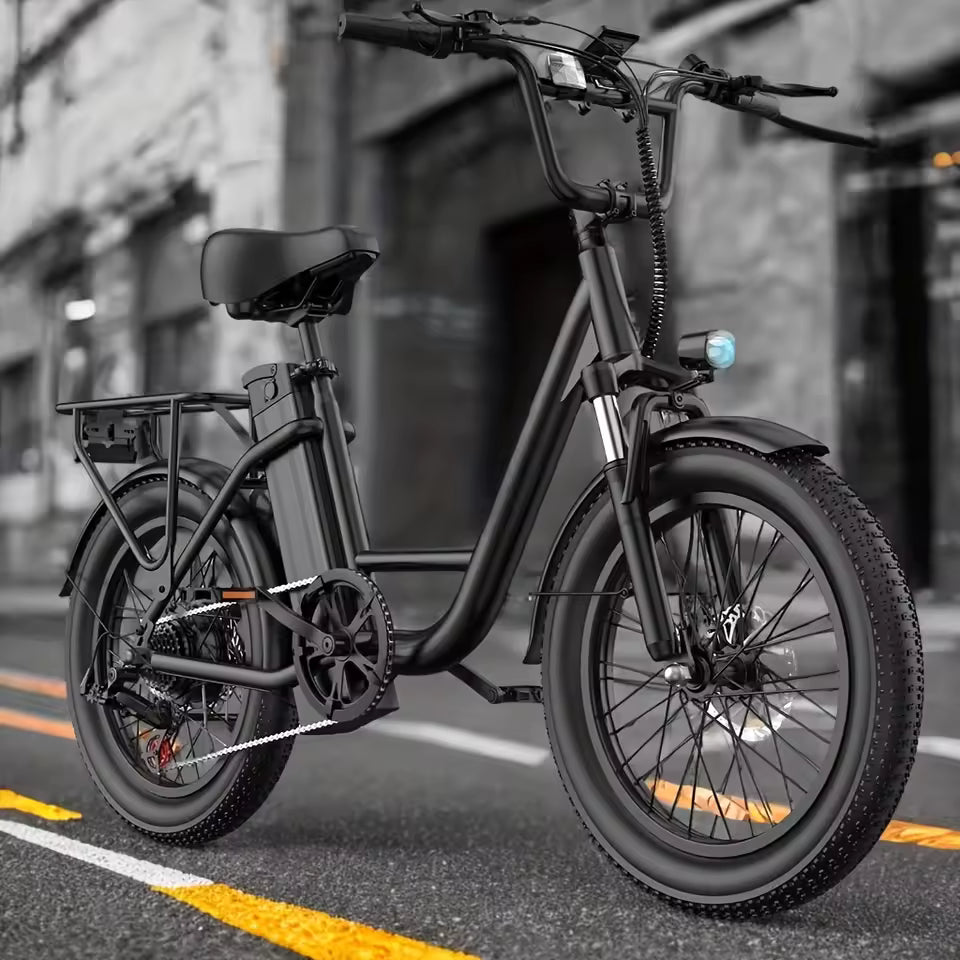 URLIFE E20 Adult E-Bike 250W 48V 13Ah Battery Commute Electric Bike 20-inch Fat Tire City E-Bike, EB-02