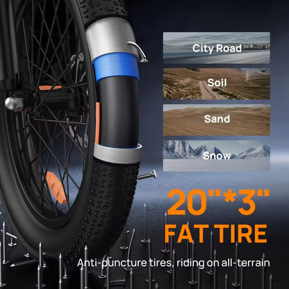 URLIFE E20 Adult E-Bike 250W 48V 13Ah Battery Commute Electric Bike 20-inch Fat Tire City E-Bike, EB-02