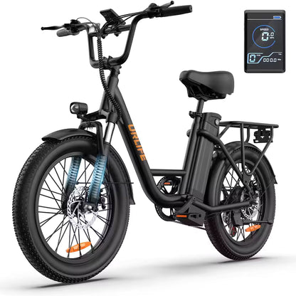 URLIFE E20 Adult E-Bike 250W 48V 13Ah Battery Commute Electric Bike 20-inch Fat Tire City E-Bike, EB-02