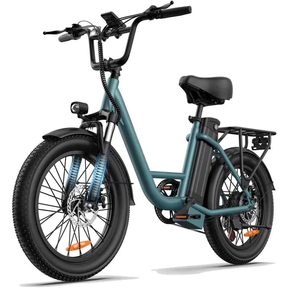 URLIFE E20 Adult E-Bike 250W Motor Electric Bicycle 48V 13AH Battery Commute Electric Bike 20-inch Fat Tire City E-Bike, EB-09