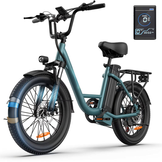 URLIFE E20 Adult E-Bike 250W Motor Electric Bicycle 48V 13AH Battery Commute Electric Bike 20-inch Fat Tire City E-Bike, EB-09