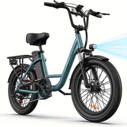 URLIFE E20 Adult E-Bike 250W Motor Electric Bicycle 48V 13AH Battery Commute Electric Bike 20-inch Fat Tire City E-Bike, EB-09