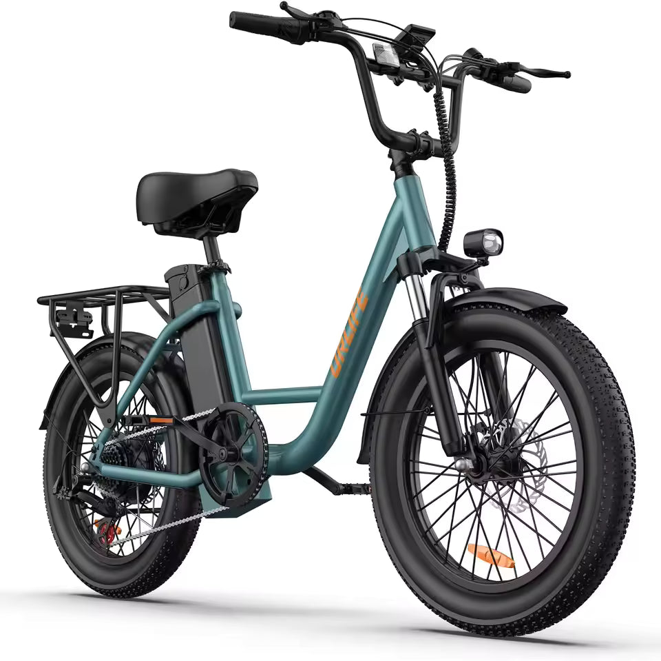 URLIFE E20 Adult E-Bike 250W Motor Electric Bicycle 48V 13AH Battery Commute Electric Bike 20-inch Fat Tire City E-Bike, EB-09