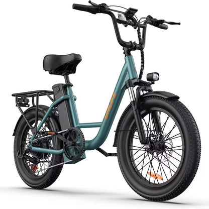 URLIFE E20 Adult E-Bike 250W Motor Electric Bicycle 48V 13AH Battery Commute Electric Bike 20-inch Fat Tire City E-Bike, EB-09