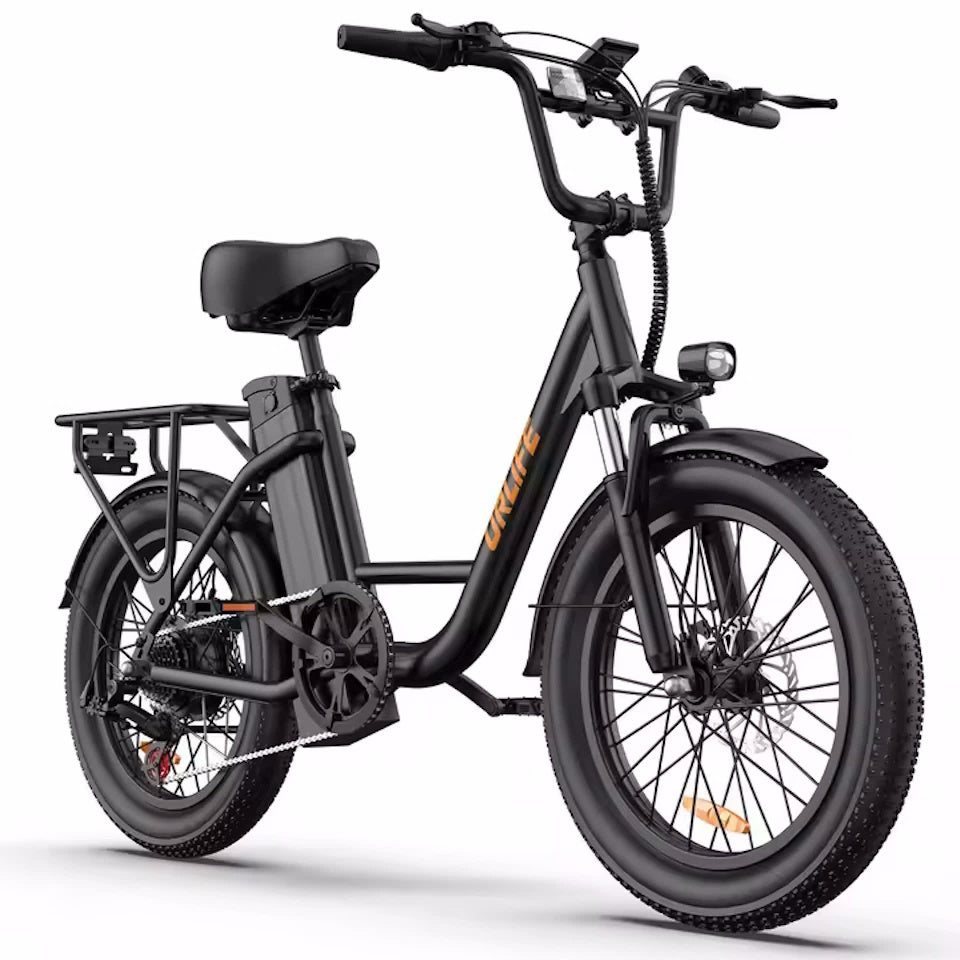 URLIFE E20 Adult E-Bike 250W Motor Electric Bicycle 48V 13AH Battery Commute Electric Bike 20-inch Fat Tire City E-Bike, EB-09