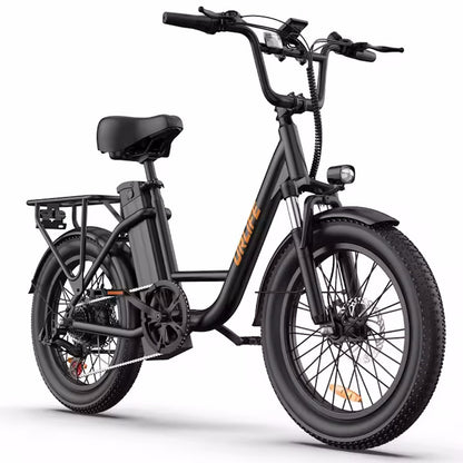 URLIFE E20 Adult E-Bike 250W Motor Electric Bicycle 48V 13AH Battery Commute Electric Bike 20-inch Fat Tire City E-Bike, EB-09
